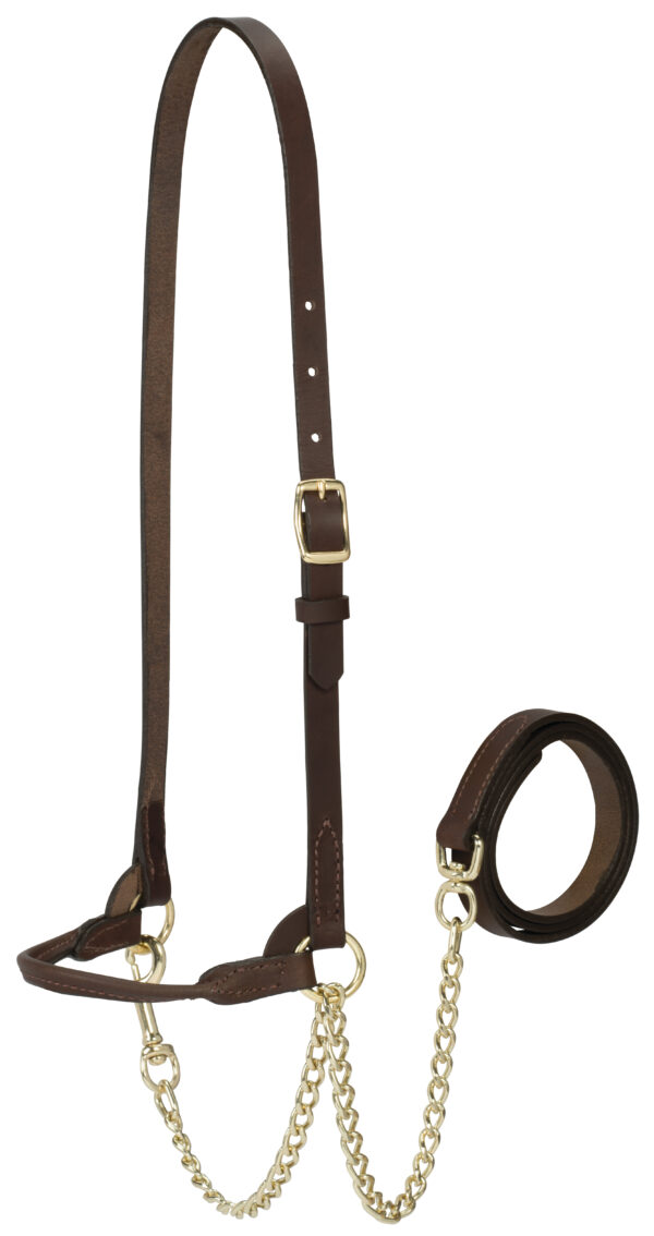 Medium Single Buckle Dairy Show Halter, Brown