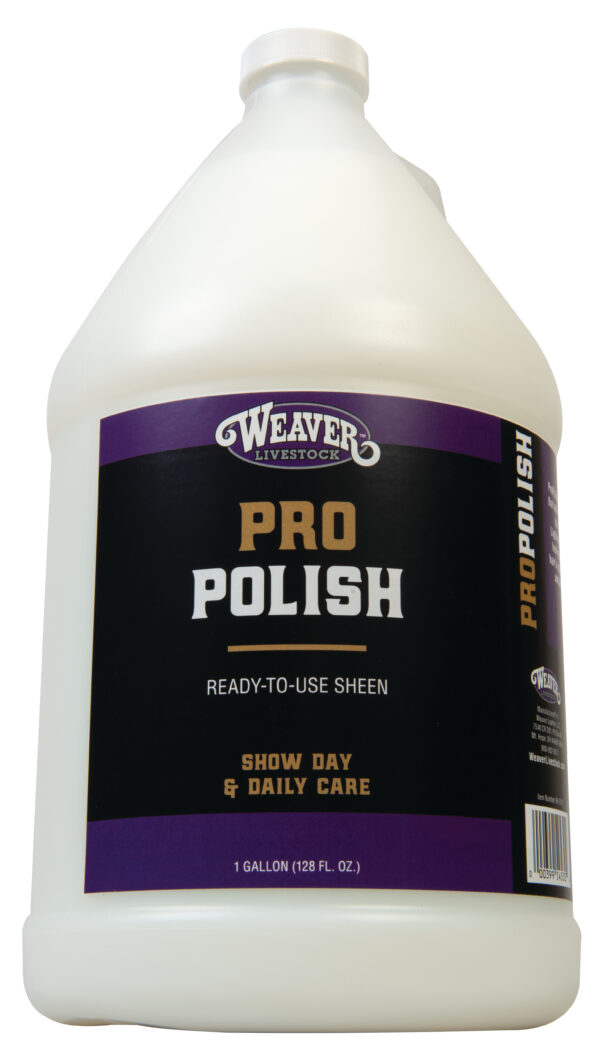 PRO-POLISH SHINE & PROTECT, GA