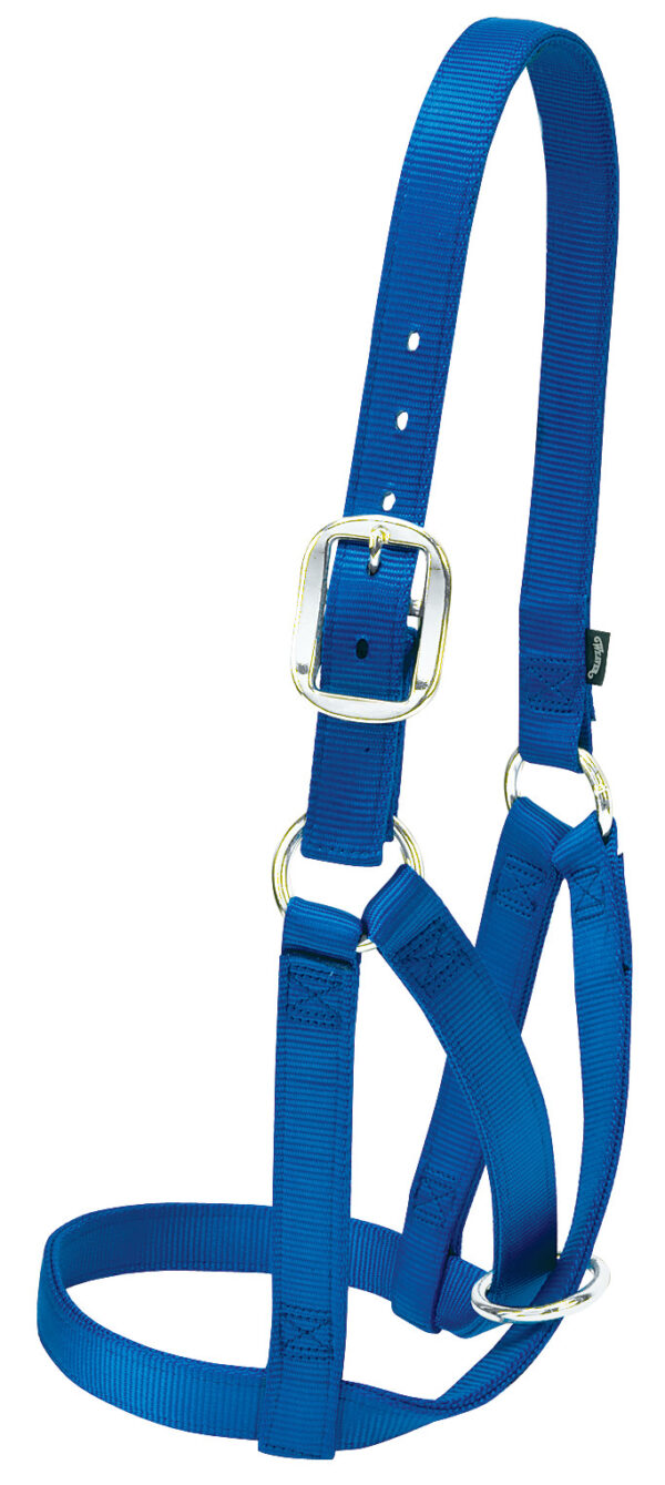 COW BARN HLTR, SM BLUE