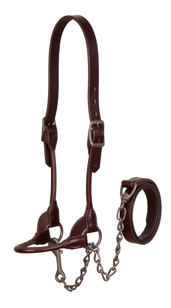 Small Brown Bombshell Show Halter