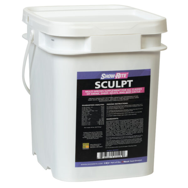 SCULPT, 20 LB PAIL