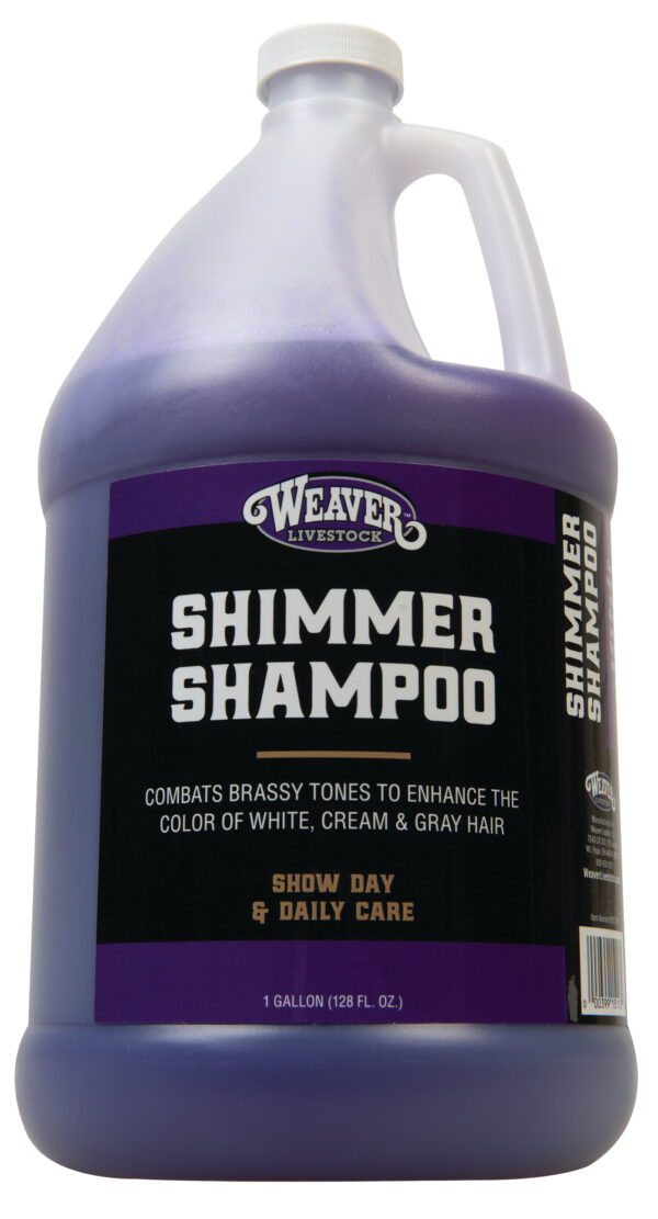 SHIMMER SHAMPOO, GALLON