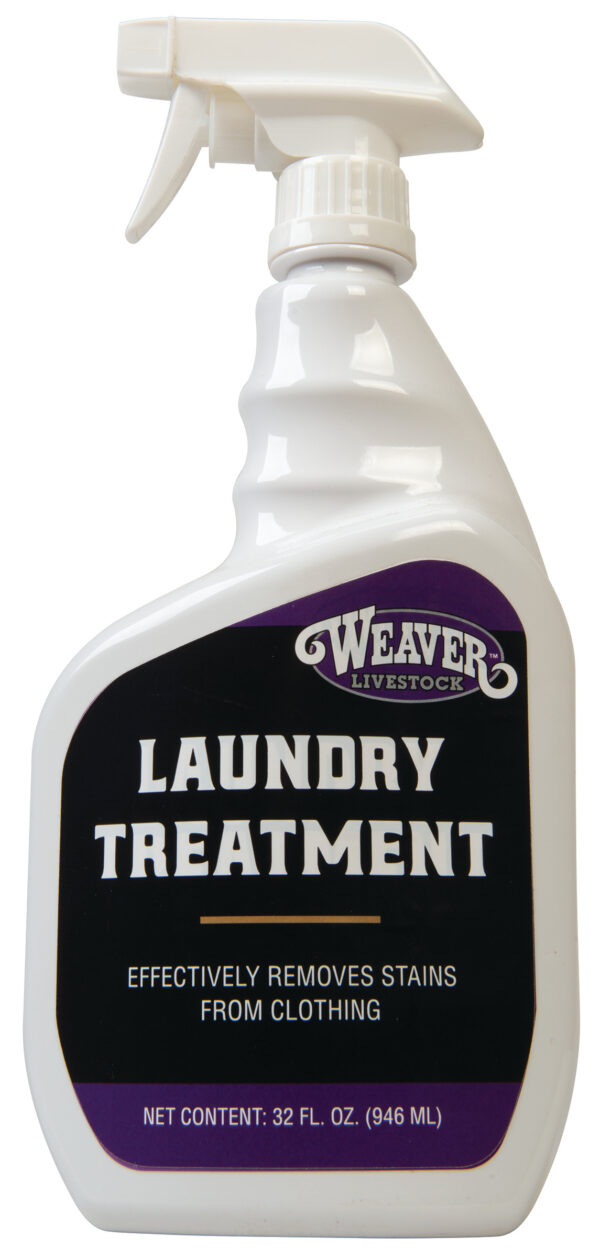 LAUNDRY TREATMENT