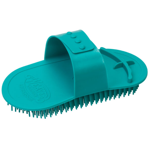 MASSAGE BRUSH, TEAL