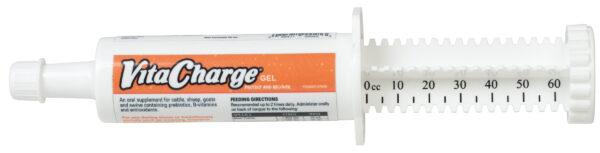 VITA CHARGE GEL, 60 ML